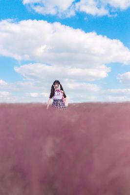 51免费版漫画官网